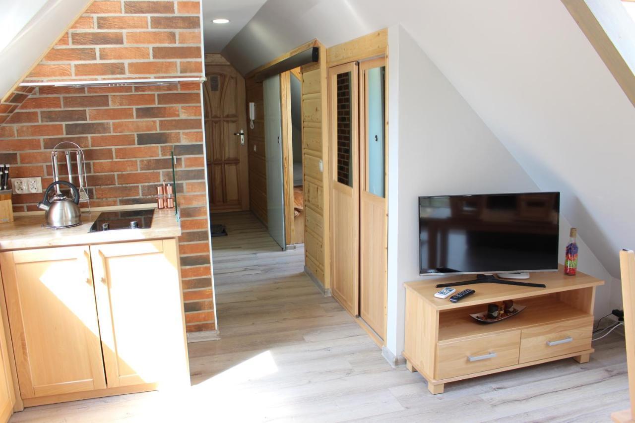 Apartamenty Pod Niedzwiedziem II 扎科帕内 外观 照片
